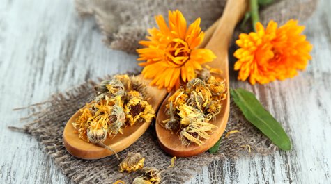 Nechtík lekársky a jeho využitie pre citlivú pleť