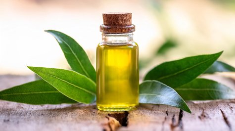 Tea tree olej: účinky a použitie v starostlivosti o pleť 