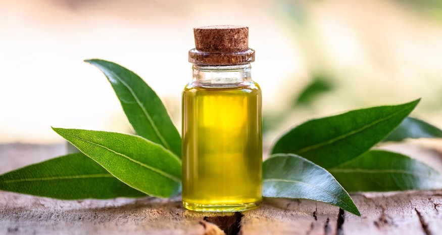 Tea tree olej: účinky a použitie v starostlivosti o pleť  - hero