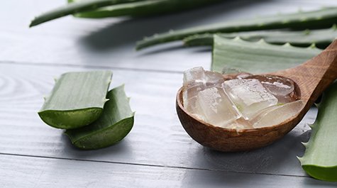 hund aloe vera K9 Aloe Vera Shampoo & Conditioner – Mildes Pflege für sensible Haut, 300 ml