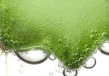 strengthen hydration content block