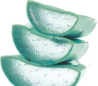 Aloe Vera Tonicum