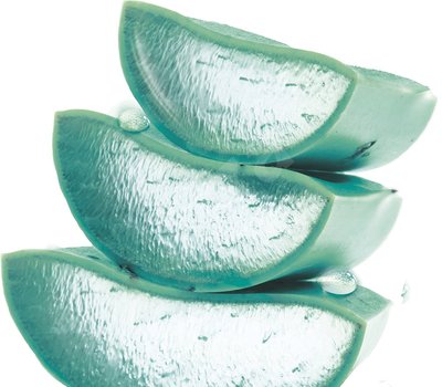 Aloe Vera Tonicum