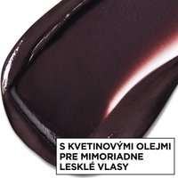 Garnier Olia Gloss - Farbiaca vlasová maska Expensive Brunette - 4