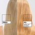 Garnier Olia Gloss - Farbiaca vlasová maska Old Money Blonde - 5
