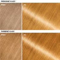 Garnier Olia Gloss - Farbiaca vlasová maska Old Money Blonde - 8